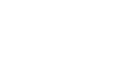 Nifti Numbers Logo